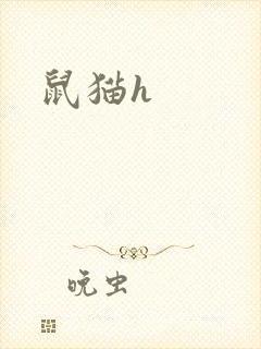 鼠猫h