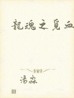龙魂之觅血心缘