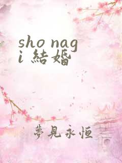 sho nagi 结婚