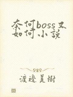 奈何boss又如何小说