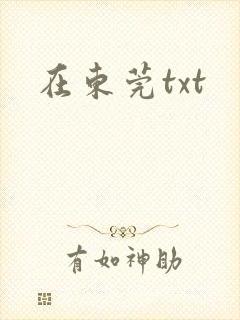 在东莞txt