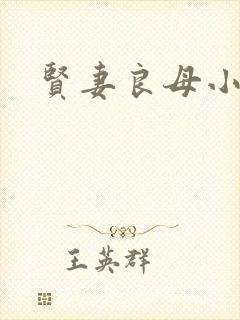 贤妻良母小说