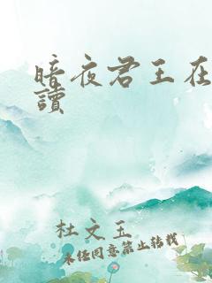 暗夜君王在线阅读