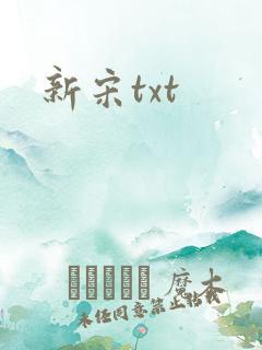 新宋txt