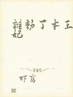 谁动了本王的悍妃