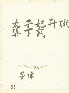 太子妃升职记全集下载