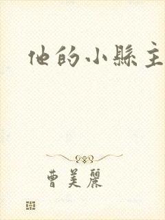 他的小县主