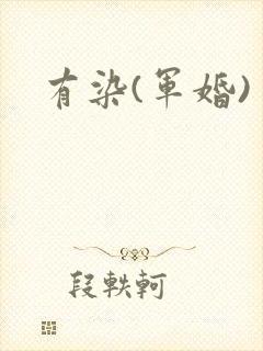 有染(军婚)
