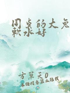 同桌的大兔子好软水好