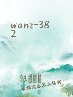 wanz-382