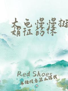 大龟慢慢挺进张娟征的休