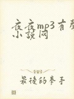 夜夜mp3有声小说网