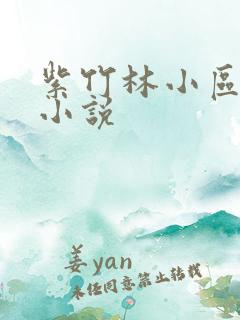 紫竹林小区快递小说