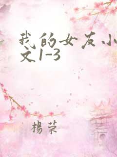 我的女友小洁全文1-3