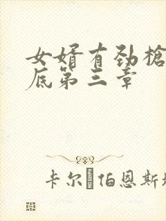 女婿有劲枪枪到底第三章