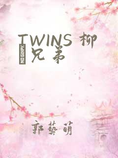 TWINS 柳澤兄弟