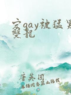 宏gay被猛男双龙