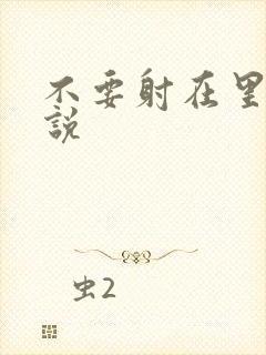 不要射在里面小说