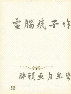 电脑疯子作品