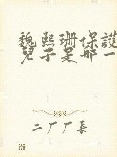 魏熙珊保护萧峥儿子是哪一集