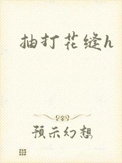 抽打花缝h
