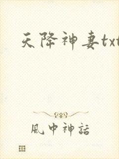 天降神妻txt