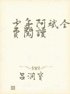 少年阿斌全文免费阅读