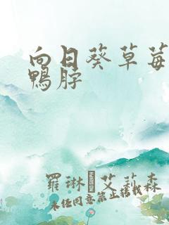 向日葵草莓丝瓜鸭脖