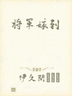 将军嫁到