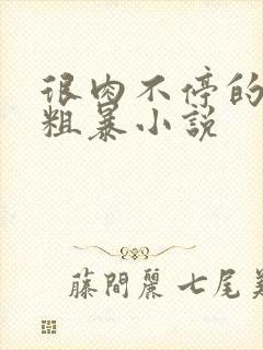 很肉不停的做很粗暴小说