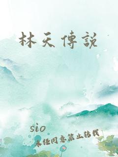 林天传说