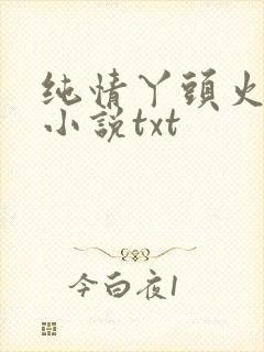 纯情丫头火辣辣小说txt