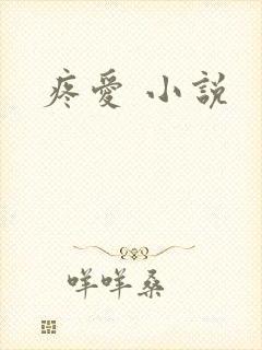 疼爱 小说