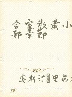 合家欢黄小梅全部章节