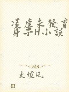 凌虐未发育的小身子H小说