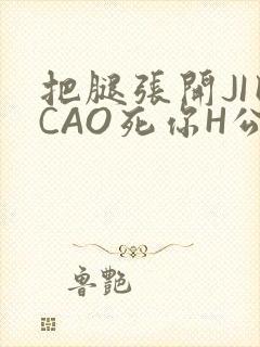 把腿张开JI巴CAO死你H公园