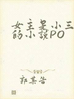 女主是小三很婊的小说PO