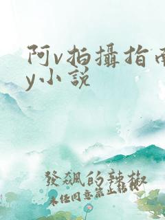 阿v拍摄指南by小说