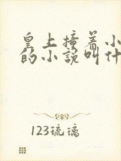 皇上撞着小公主的小说叫什么