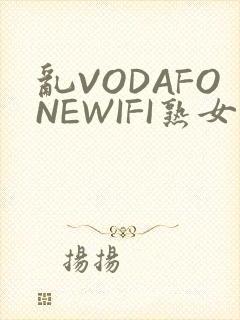 乱VODAFONEWIFI熟女