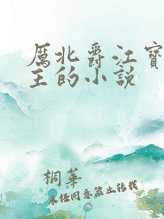 厉北爵江宝宝男主的小说