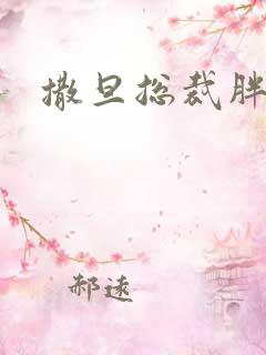 撒旦总裁胖前妻