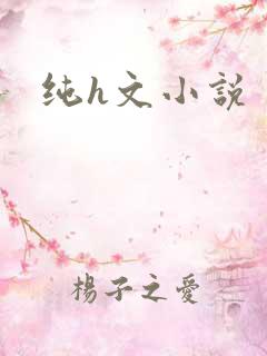 纯h文小说