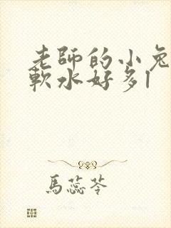 老师的小兔子好软水好多l