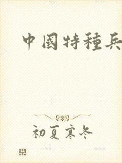 中国特种兵小说