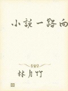 小说一路向西