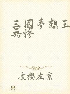 三国梦想王元姬无惨