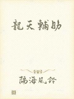 龙天辅助