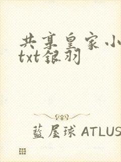 共享皇家小公主txt银羽