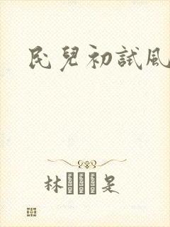 民儿初试风雨录